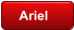 Ariel